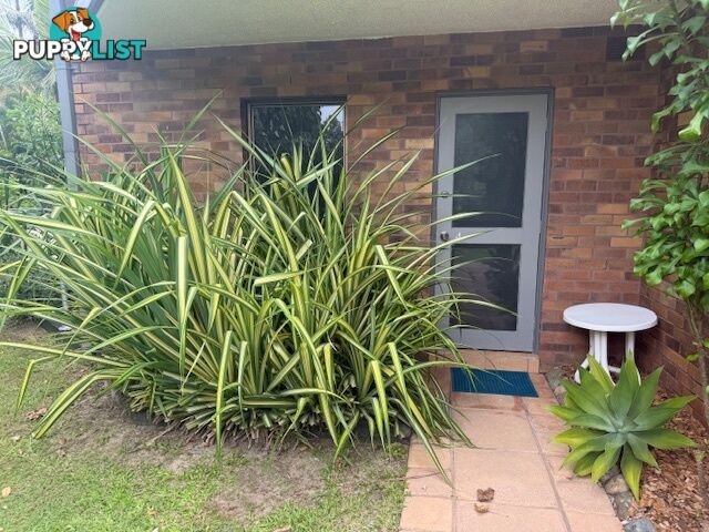 ID:21146755 388 David Low Way Peregian Beach QLD 4573