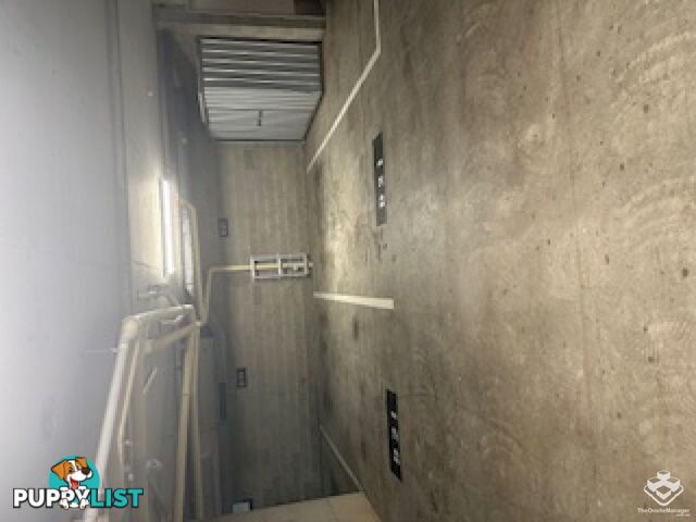 ID:21157471 1 Great Hall Drive Miami QLD 4220