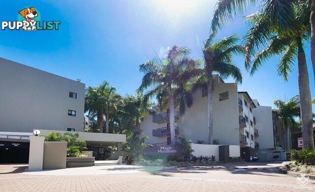 ID:21157471 1 Great Hall Drive Miami QLD 4220