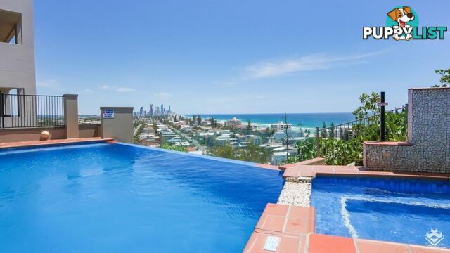 ID:21157471 1 Great Hall Drive Miami QLD 4220