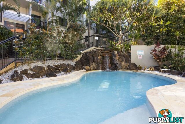 ID:21157471 1 Great Hall Drive Miami QLD 4220
