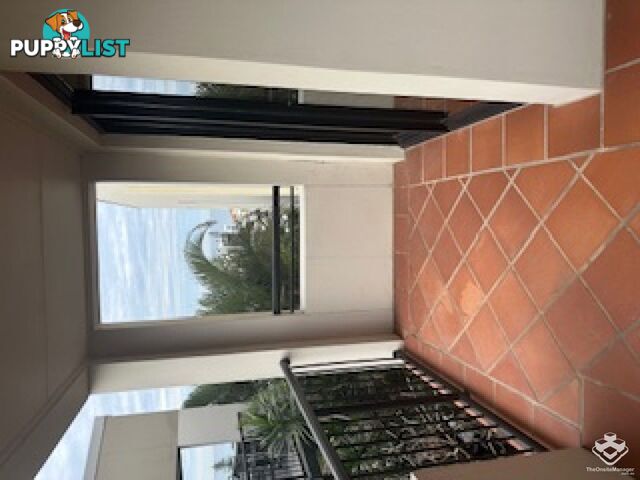 ID:21157471 1 Great Hall Drive Miami QLD 4220