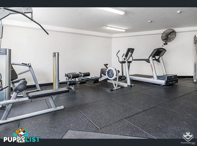 ID:21157471 1 Great Hall Drive Miami QLD 4220