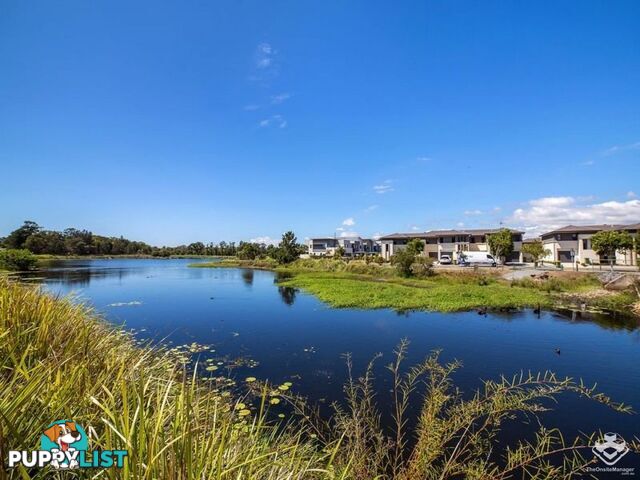 074 / 2 Inland Drive Tugun QLD 4224