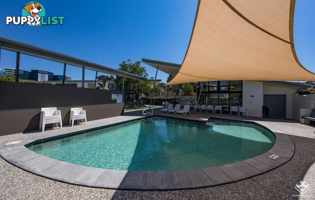 074 / 2 Inland Drive Tugun QLD 4224