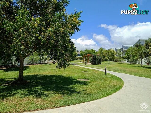 074 / 2 Inland Drive Tugun QLD 4224