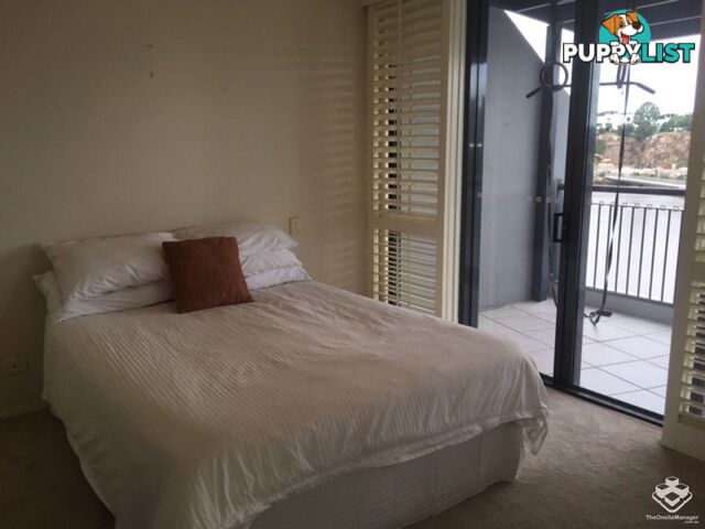 ID:3746139/ 1 Holman Street Kangaroo Point QLD 4169