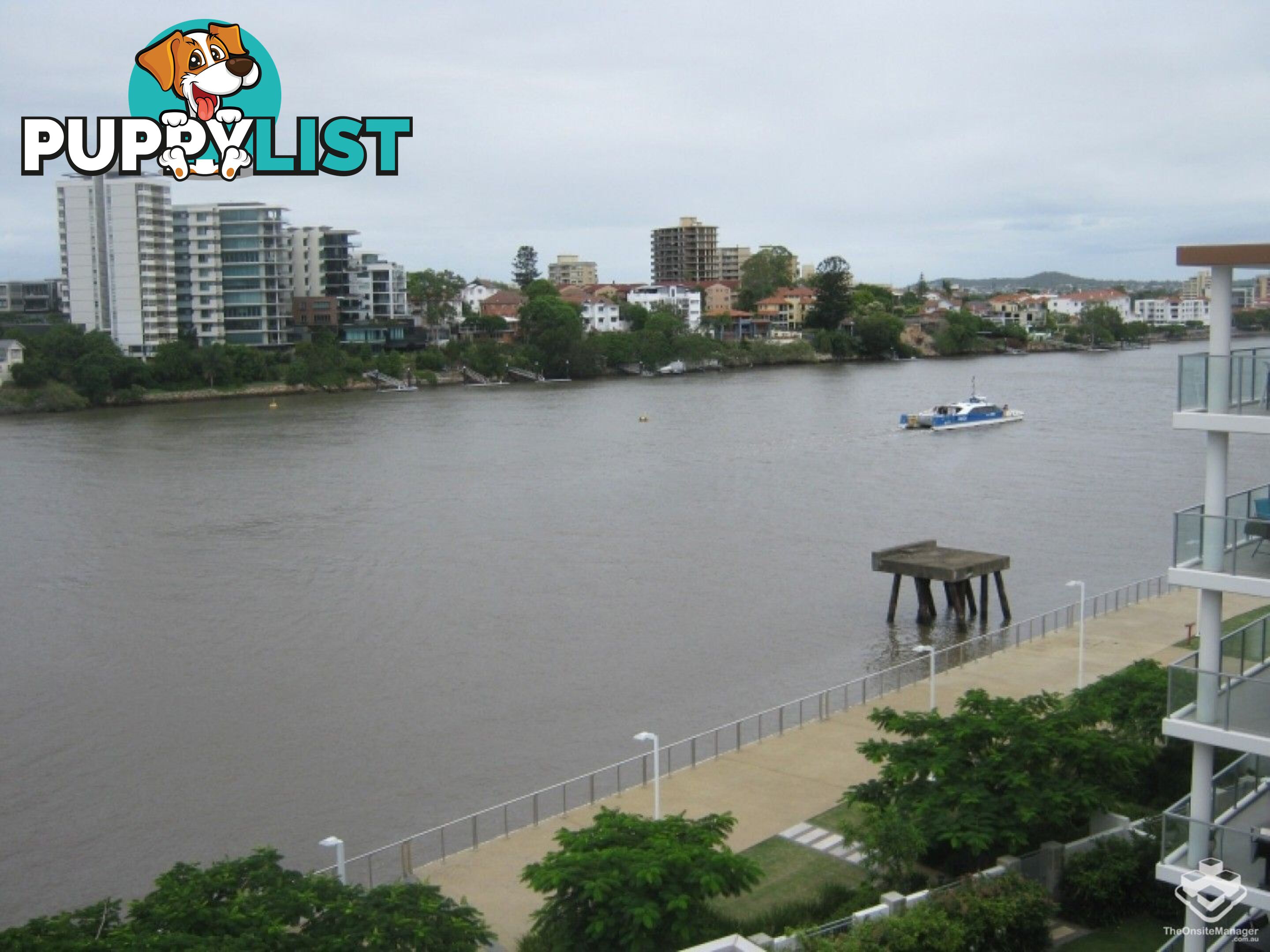 ID:3746139/ 1 Holman Street Kangaroo Point QLD 4169