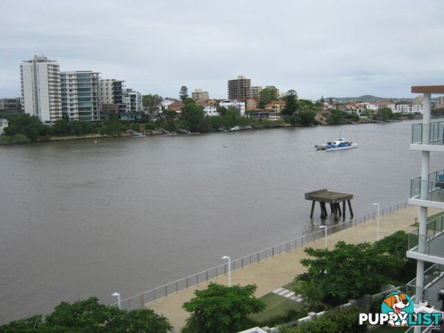 ID:3746139/ 1 Holman Street Kangaroo Point QLD 4169