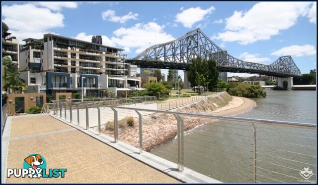 ID:3746139/ 1 Holman Street Kangaroo Point QLD 4169