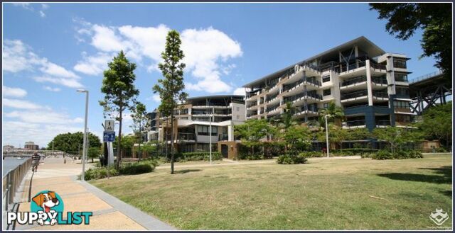 ID:3746139/ 1 Holman Street Kangaroo Point QLD 4169