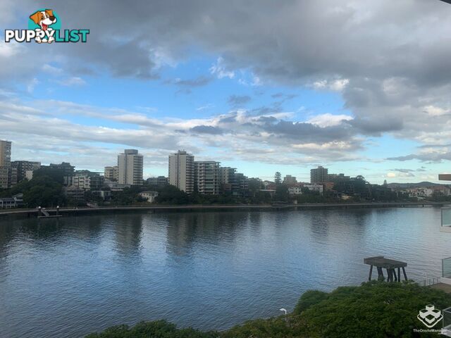 ID:3746139/ 1 Holman Street Kangaroo Point QLD 4169