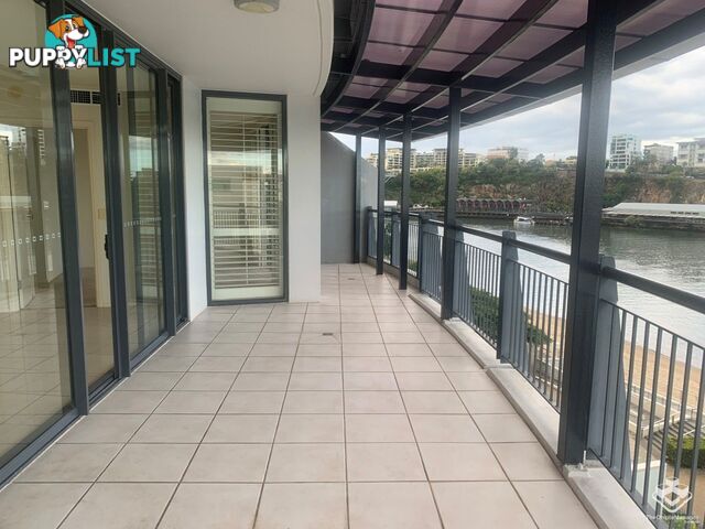 ID:3746139/ 1 Holman Street Kangaroo Point QLD 4169