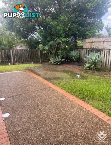 ID:21153270 2-4 Langport Parade Mudgeeraba QLD 4213