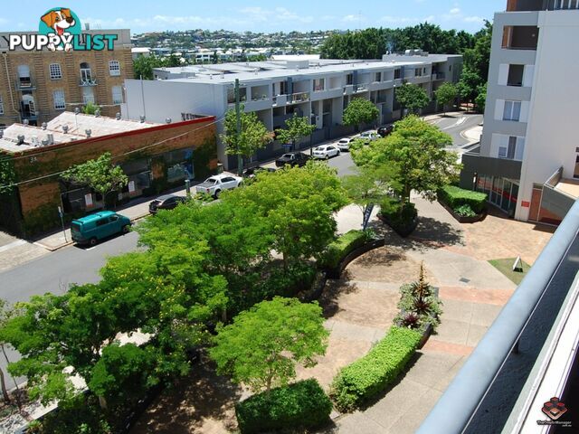 40 Chermside Street Teneriffe QLD 4005