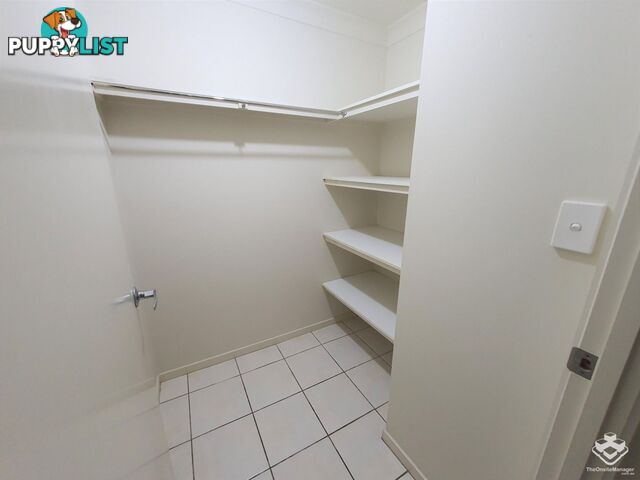 Pacific Pines QLD 4211