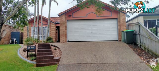 10 Honeymyrtle Court Mountain Creek QLD 4557