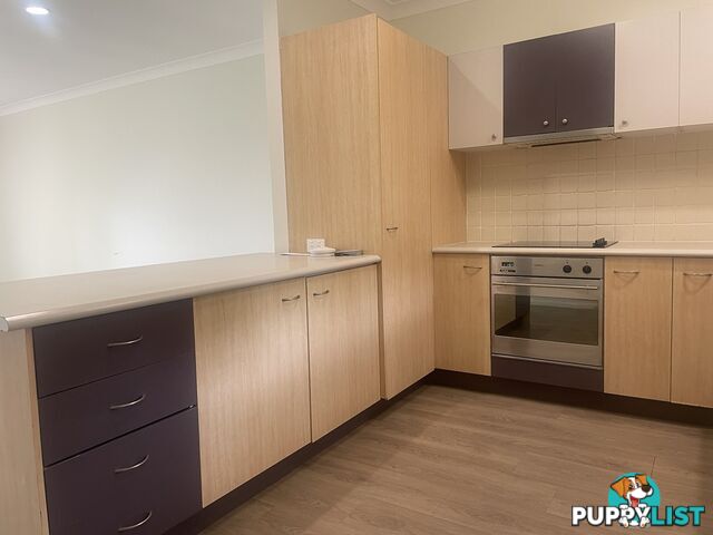 36 Con Brio Boulevard Upper Coomera QLD 4209