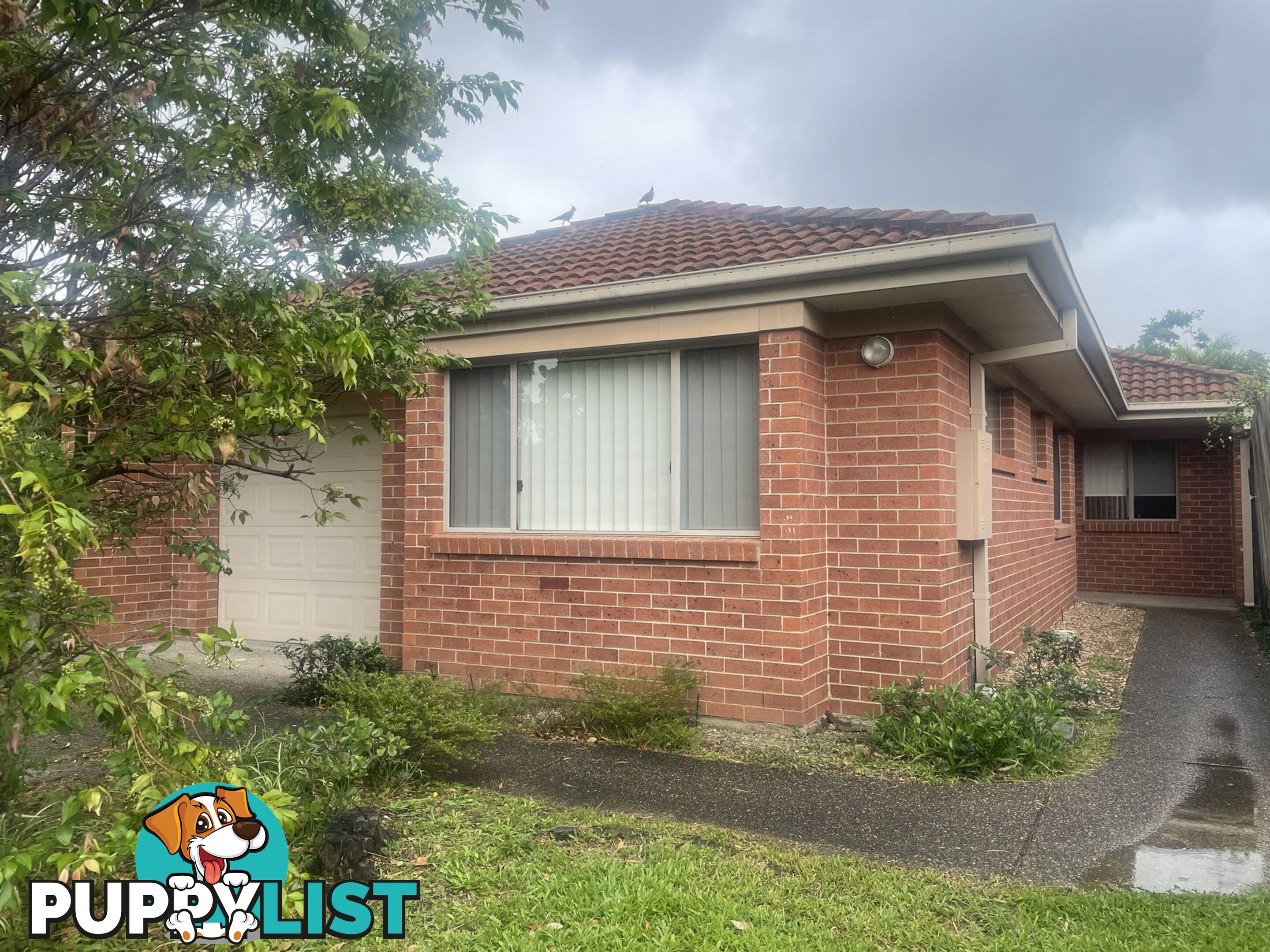 36 Con Brio Boulevard Upper Coomera QLD 4209