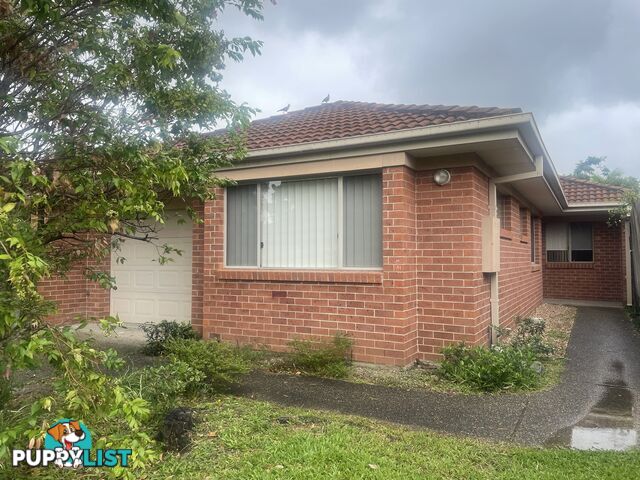 36 Con Brio Boulevard Upper Coomera QLD 4209