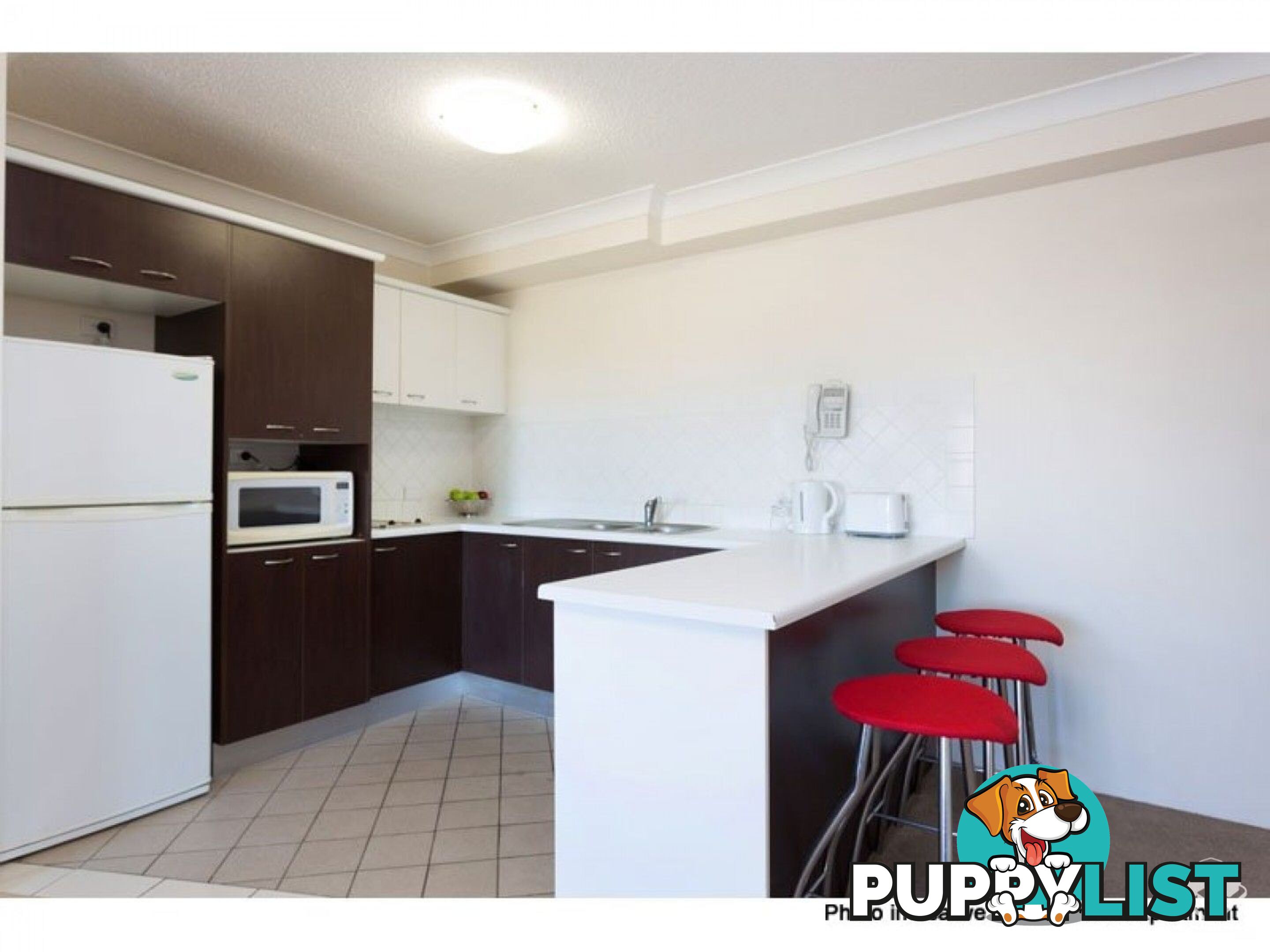 ID:21156623 35 Morrow Street Taringa QLD 4068