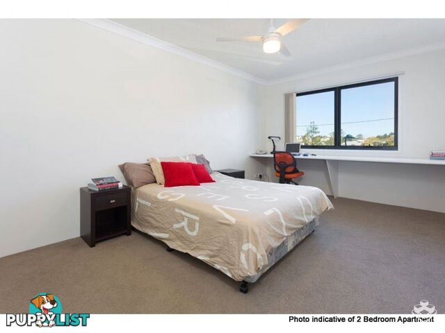 ID:21156623 35 Morrow Street Taringa QLD 4068