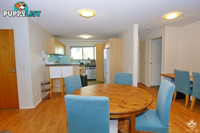 ID:21157497 7 Landsborough Terrace Toowong QLD 4066