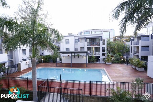 ID:21157497 7 Landsborough Terrace Toowong QLD 4066