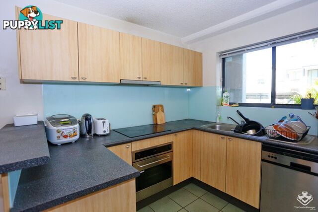 ID:21157497 7 Landsborough Terrace Toowong QLD 4066