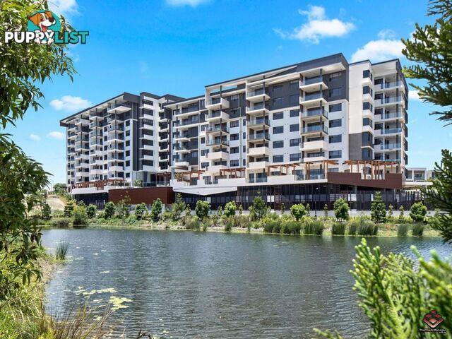 ID:3887183/25 Parnell Boulevard Robina QLD 4226