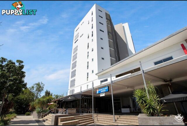 49/26 River Street Mackay QLD 4740