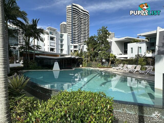 p5/28 Bayview Street Runaway Bay QLD 4216