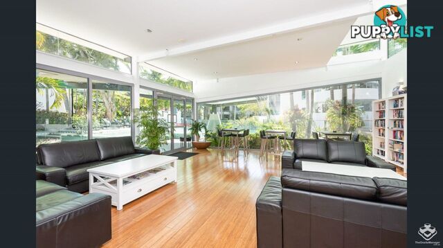 p5/28 Bayview Street Runaway Bay QLD 4216