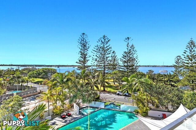 ID:21158437 230 Marine Parade Labrador Qld 4215