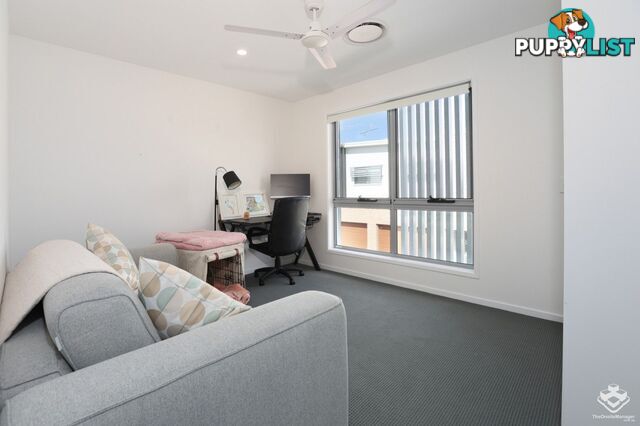 ID:21159097 15 Alter Street Wynnum West QLD 4178
