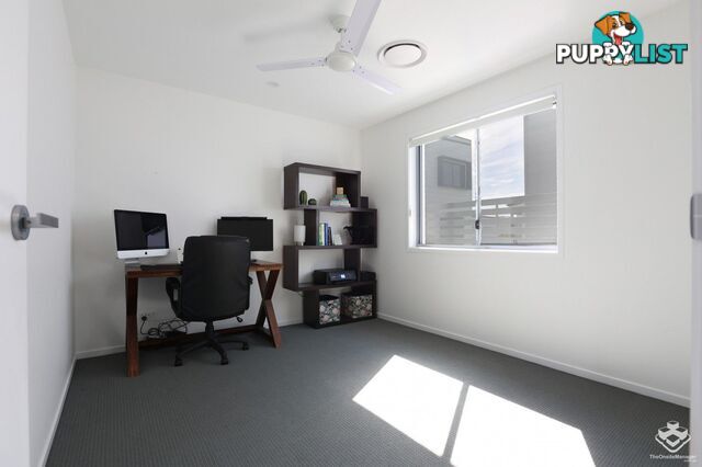 ID:21159097 15 Alter Street Wynnum West QLD 4178