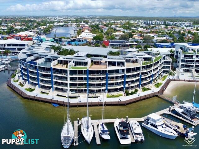 314/13 Nicklin Way Minyama QLD 4575