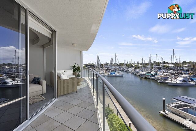 314/13 Nicklin Way Minyama QLD 4575