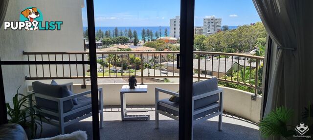 ID:21108162 29 Hill Avenue Burleigh Heads QLD 4220
