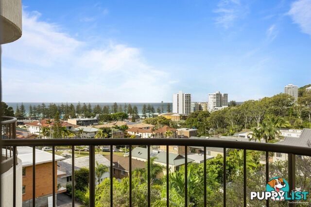 ID:21108162 29 Hill Avenue Burleigh Heads QLD 4220