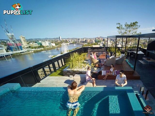 ID:21083252/77 Grey Street South Brisbane QLD 4101