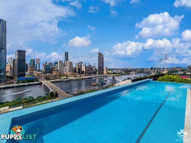 ID:21083252/77 Grey Street South Brisbane QLD 4101