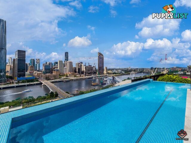 ID:21083252/77 Grey Street South Brisbane QLD 4101