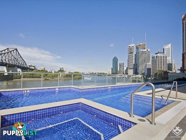 ID:21156092 82 Boundary Street Brisbane City QLD 4000