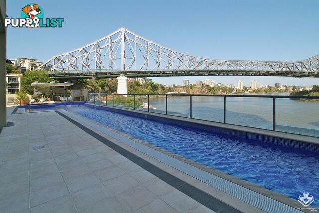 ID:21156092 82 Boundary Street Brisbane City QLD 4000