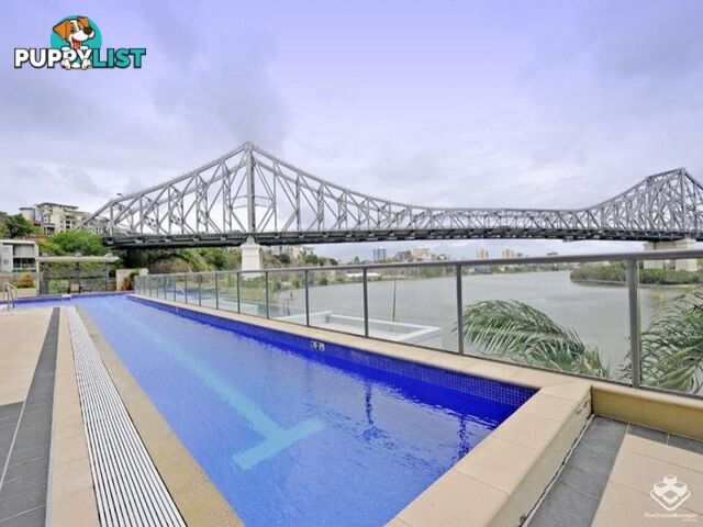 ID:21156092 82 Boundary Street Brisbane City QLD 4000