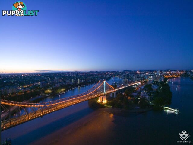 ID:21156092 82 Boundary Street Brisbane City QLD 4000