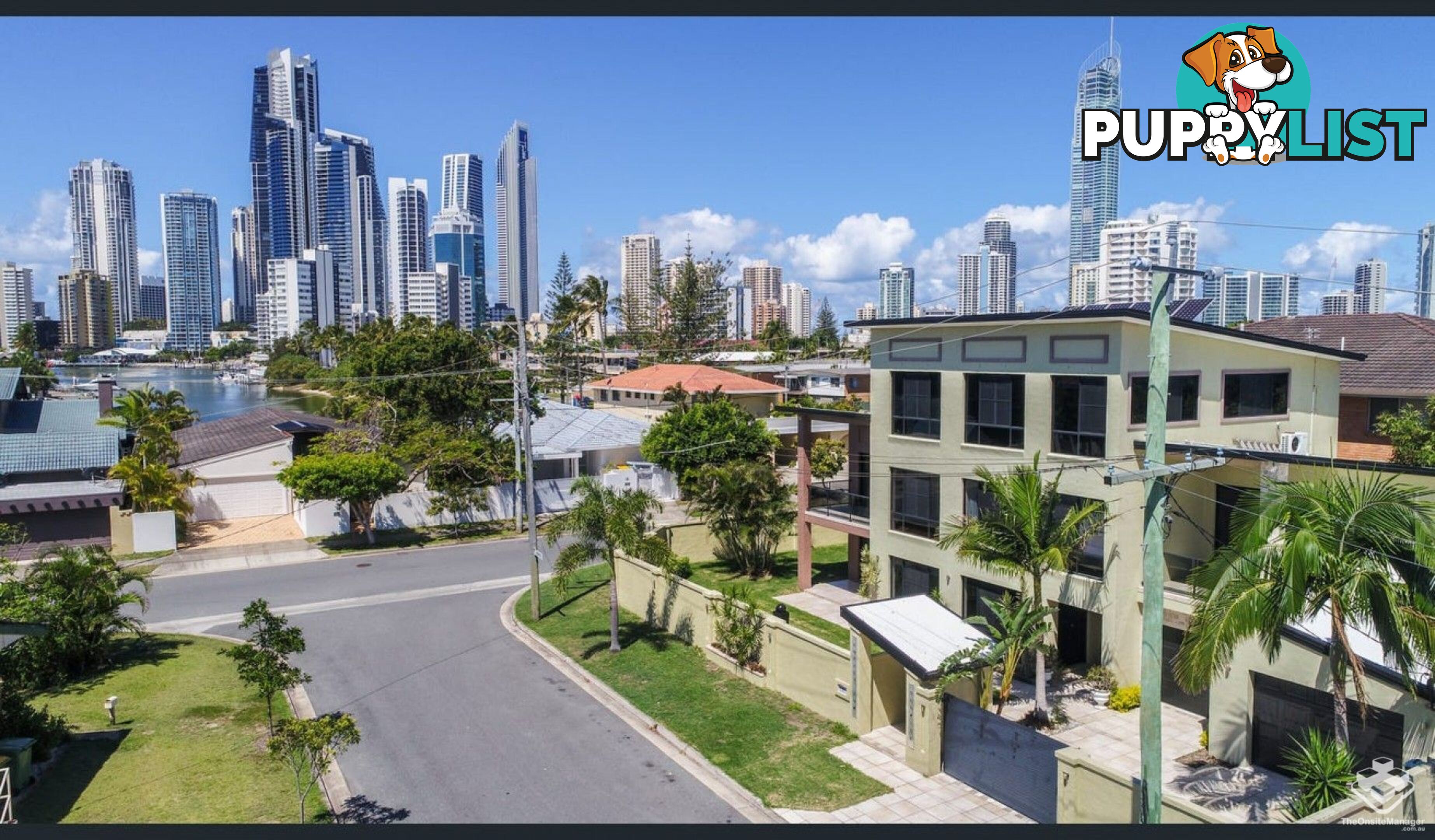 ID:21135929/22 Sunrise Boulevard Surfers Paradise QLD 4217