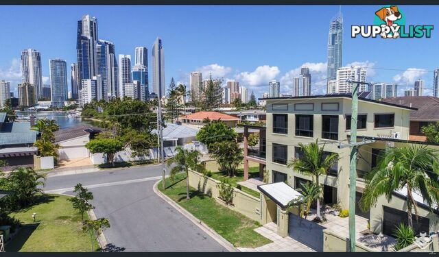 ID:21135929/22 Sunrise Boulevard Surfers Paradise QLD 4217