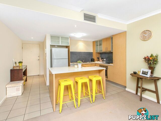 ID:21158396 38 Brougham Street Fairfield QLD 4103